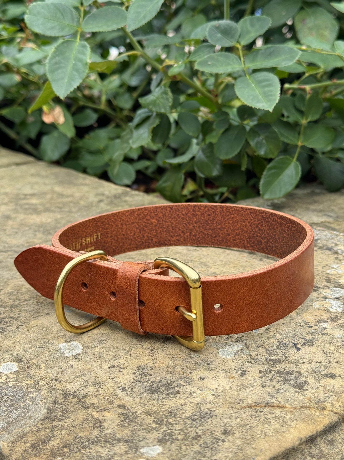 Leather Dog Collar XL