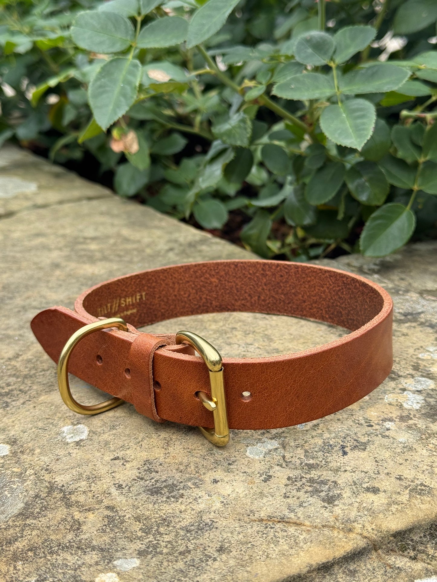Leather Dog Collar XL