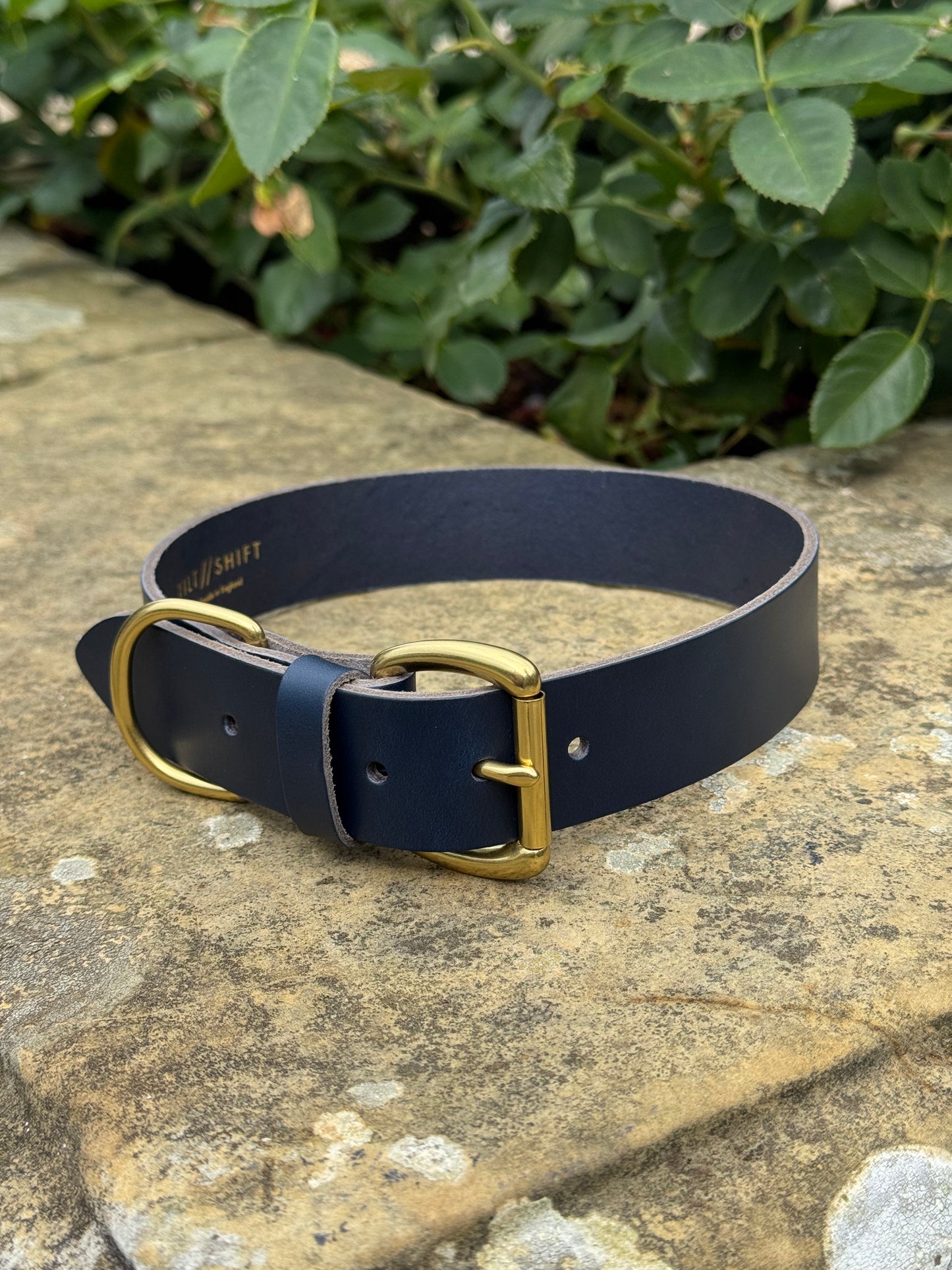 Leather Dog Collar XL