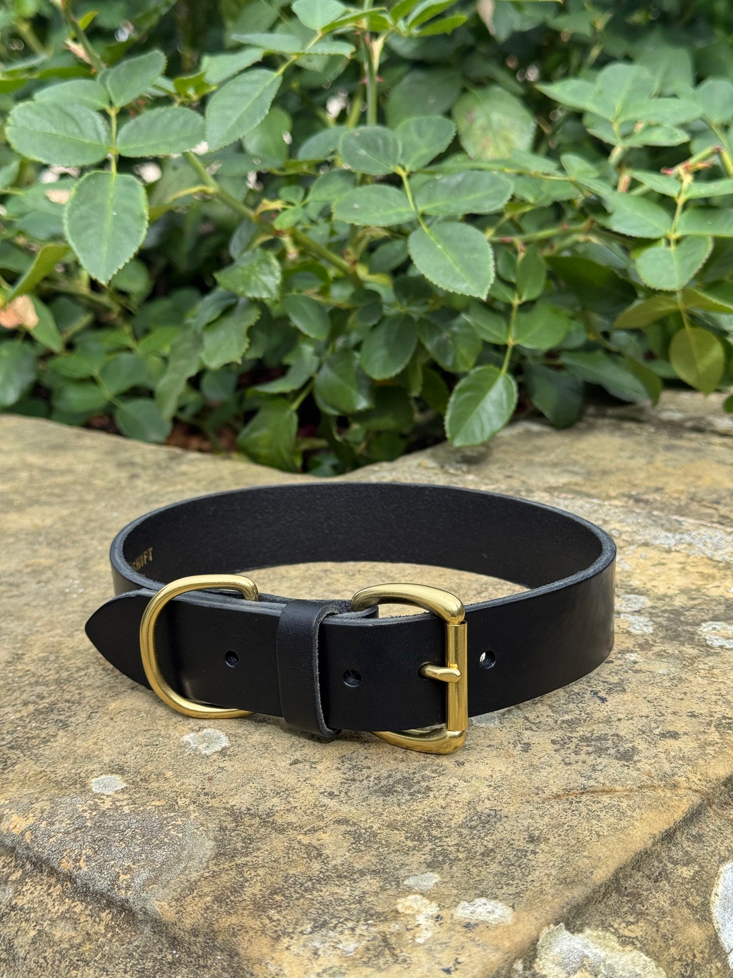 Leather Dog Collar XL
