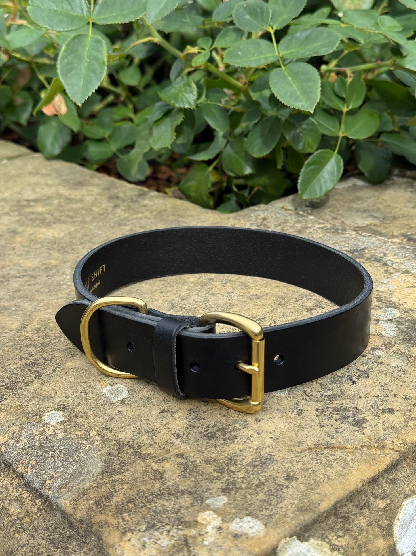 Leather Dog Collar XL