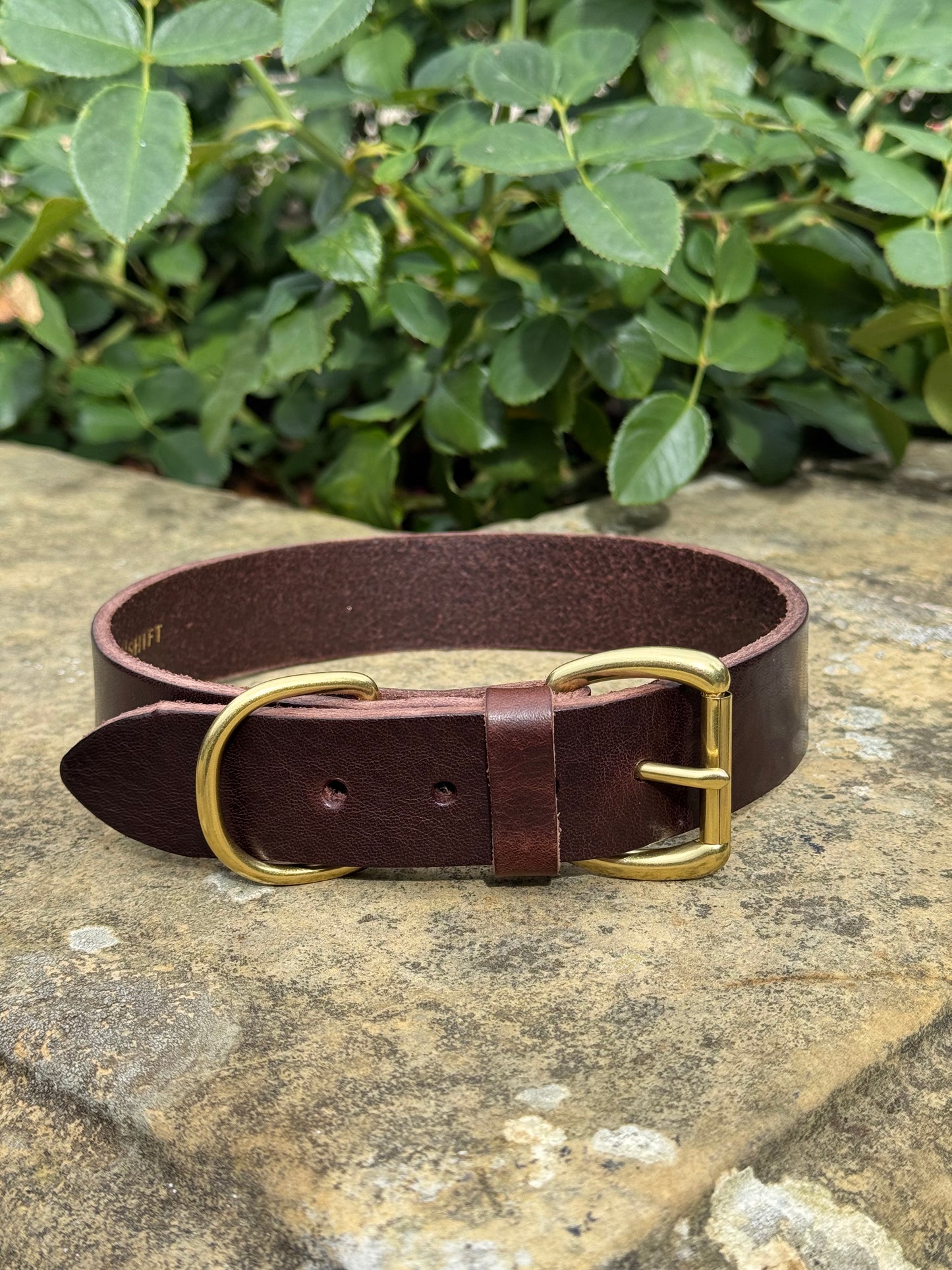 Leather Dog Collar XL