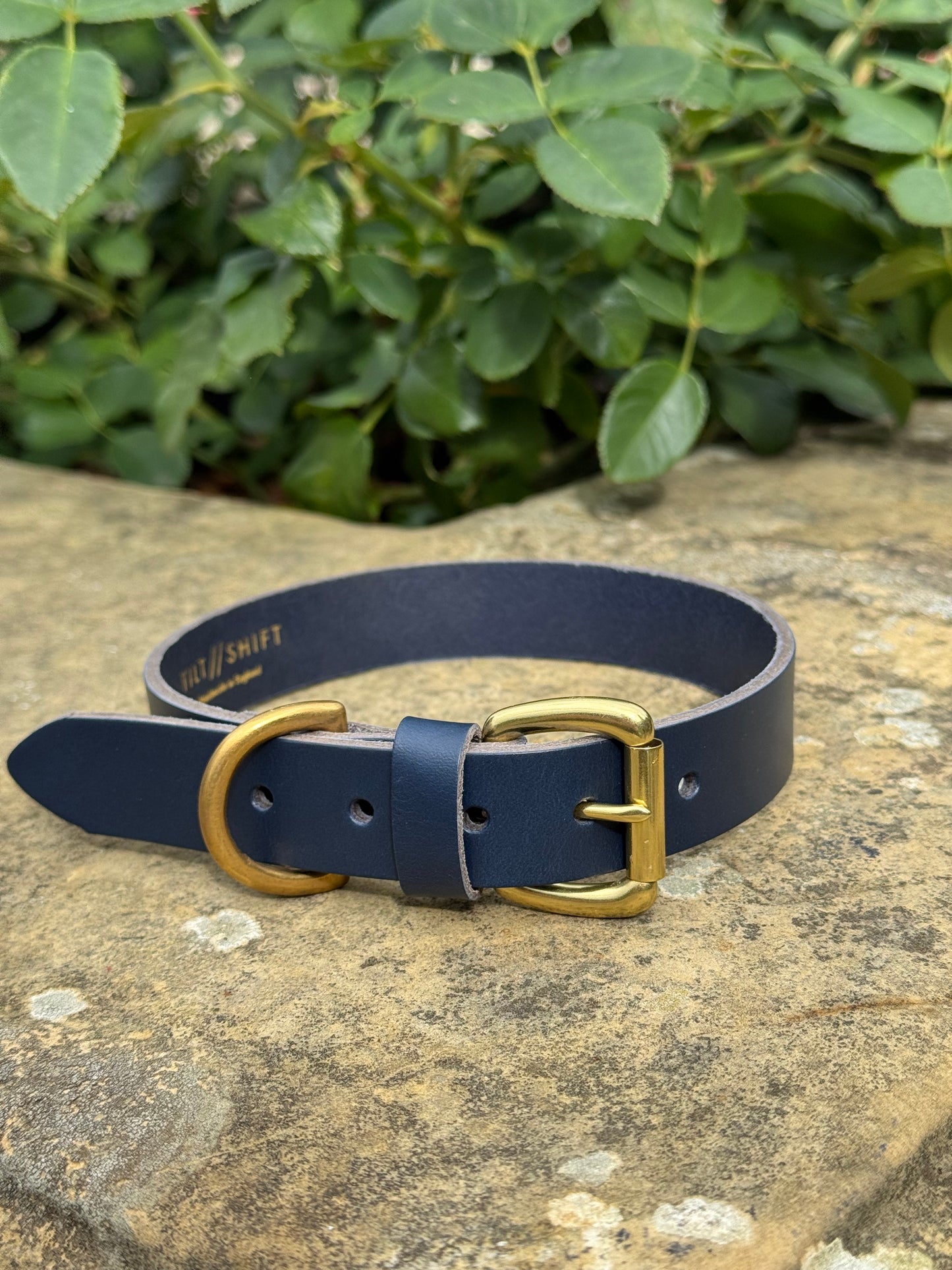 Leather Dog Collar Large