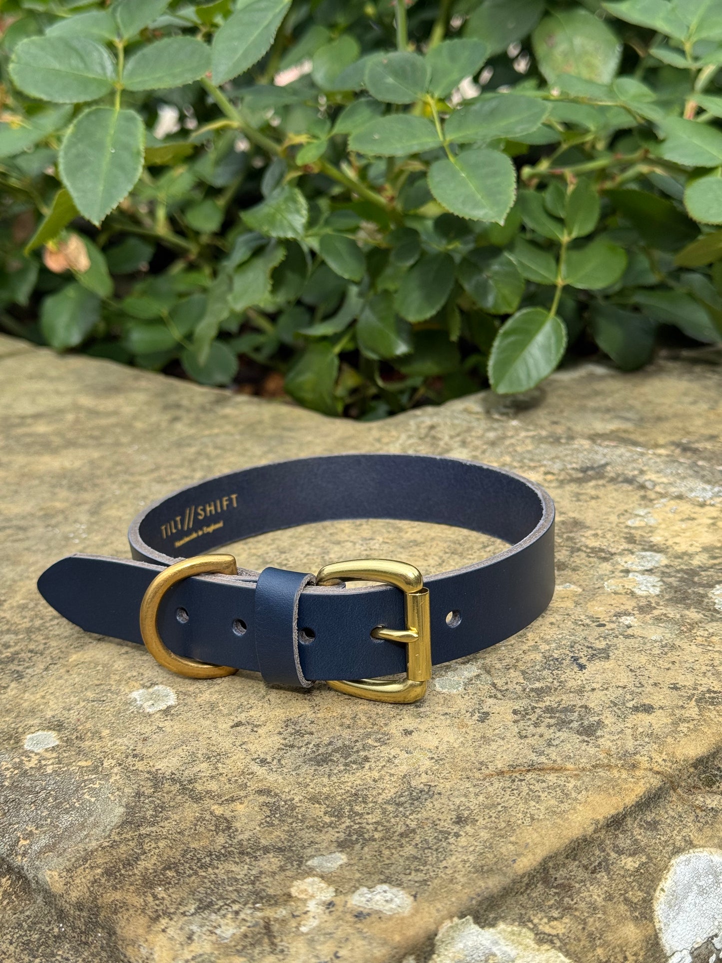 Leather Dog Collar Large