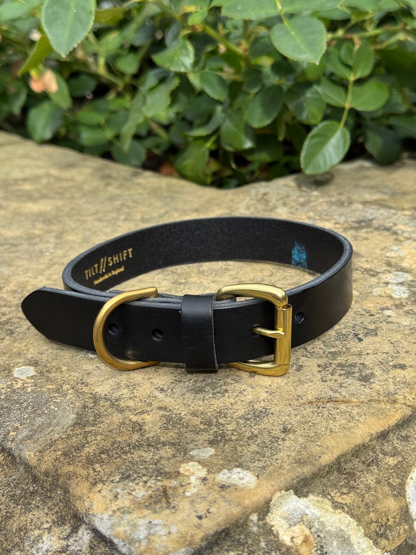 Leather Dog Collar Large