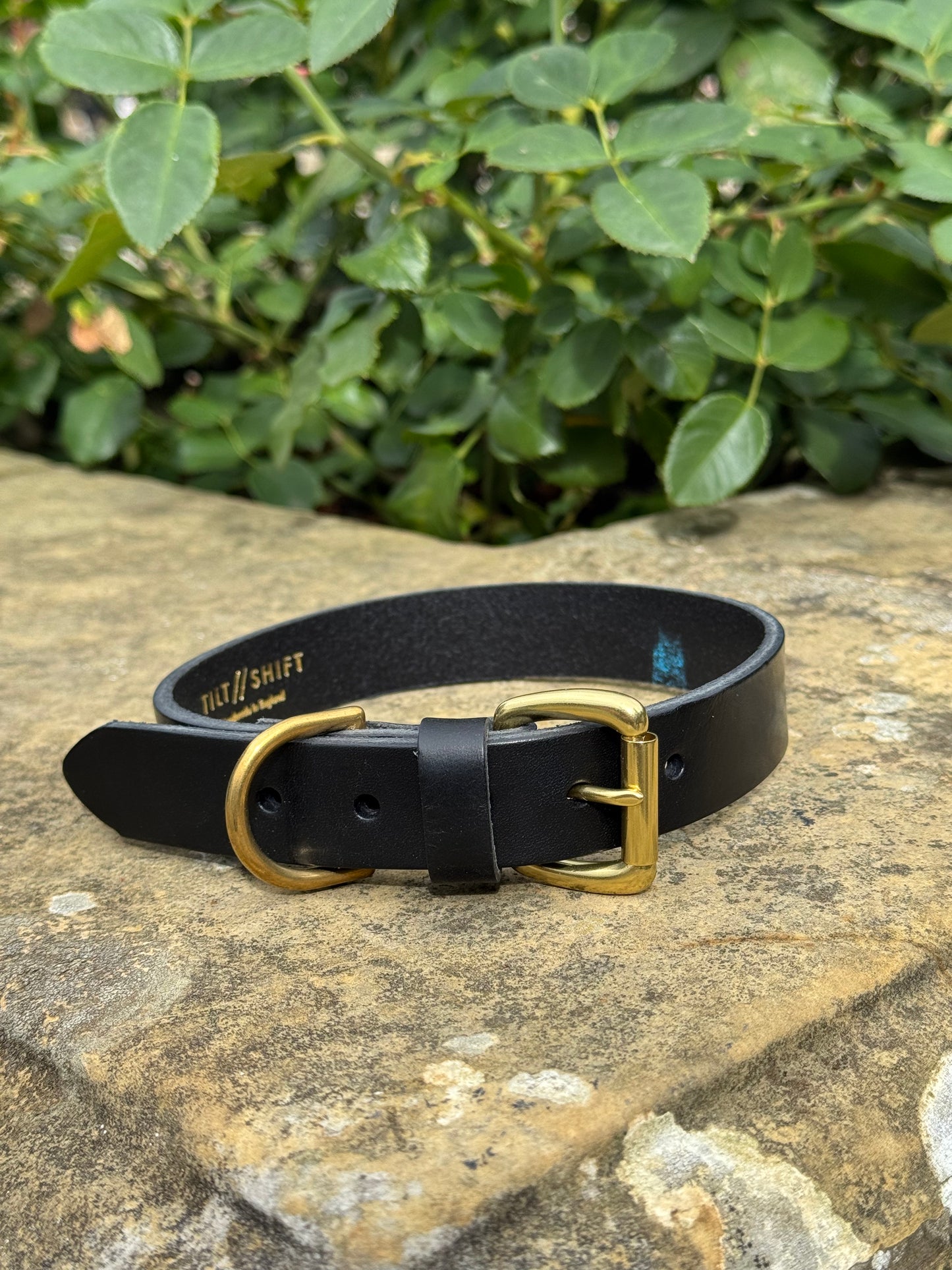 Leather Dog Collar Large