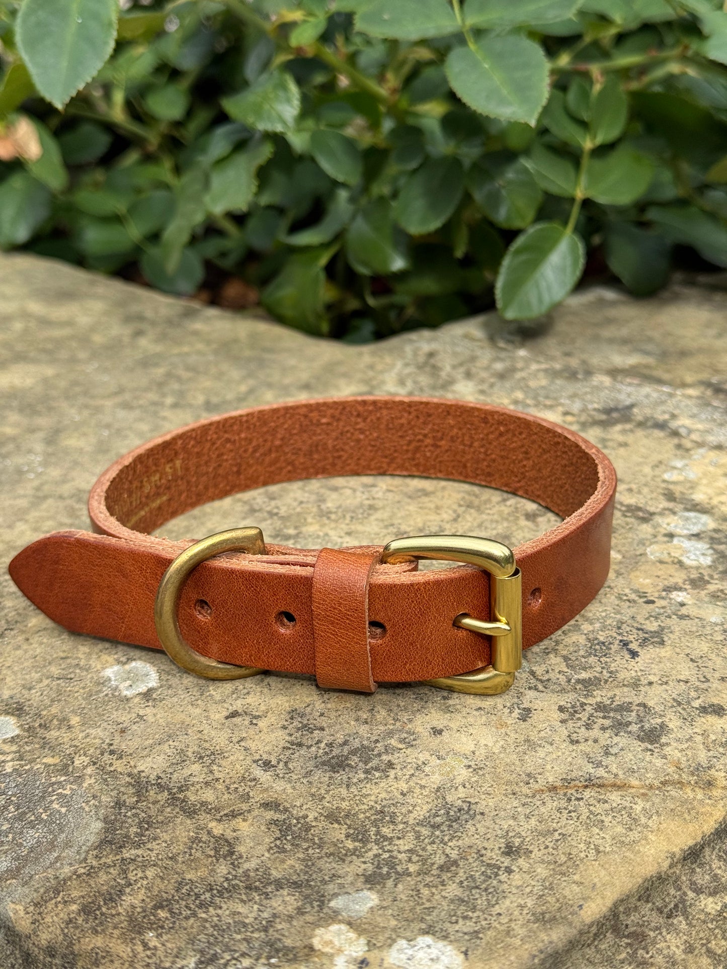 Leather Dog Collar Large