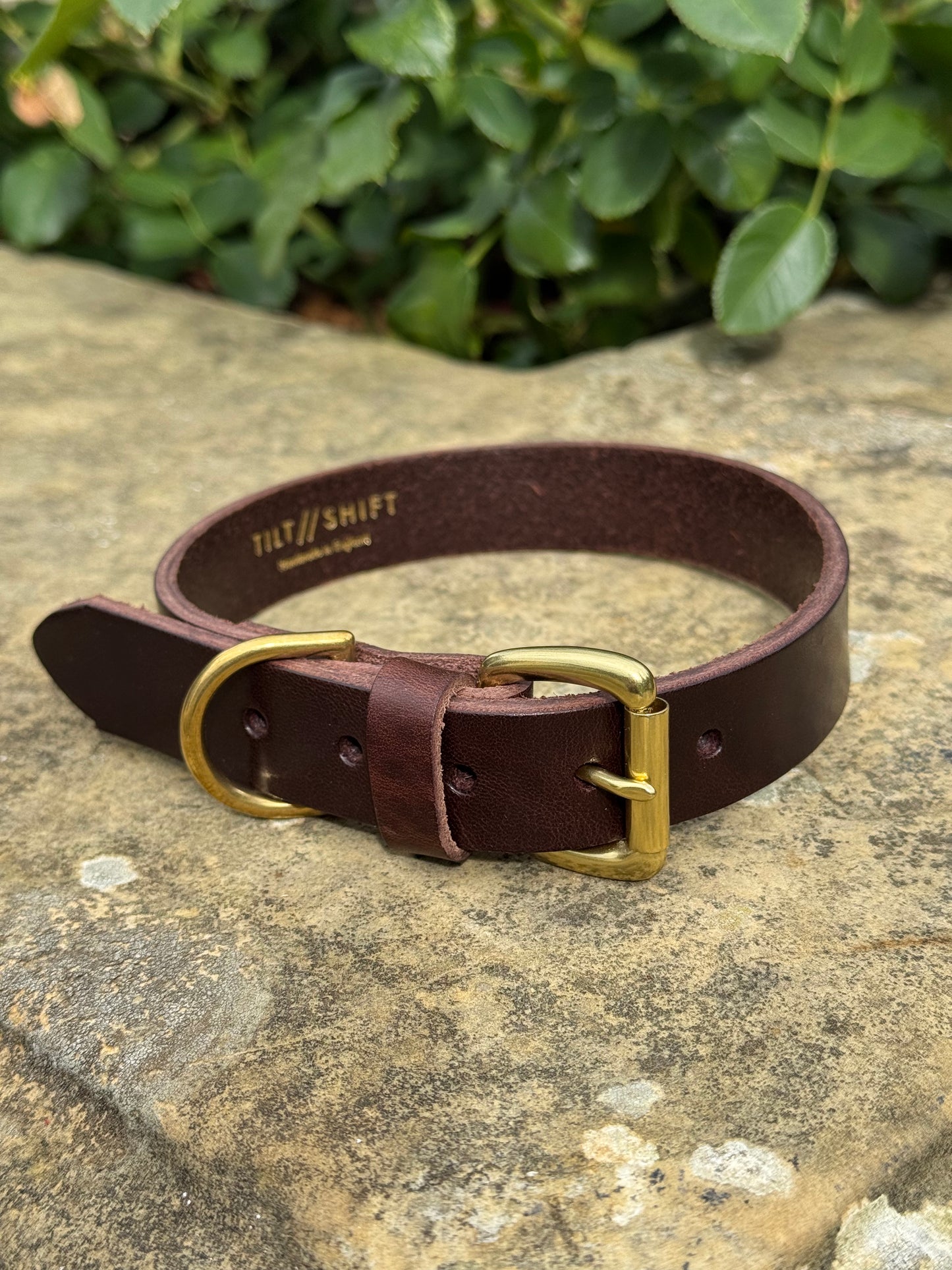 Leather Dog Collar Large