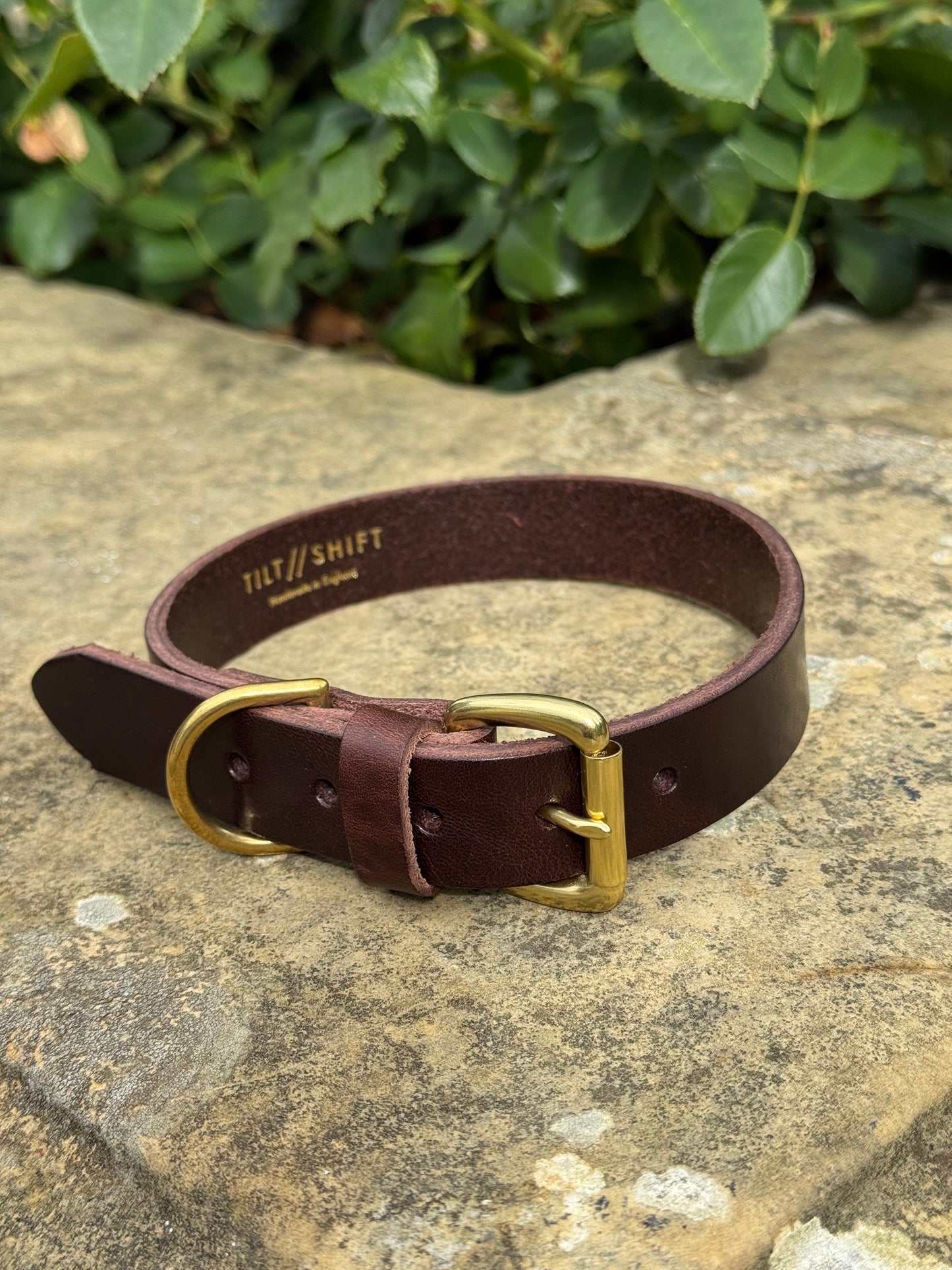Leather Dog Collar Large