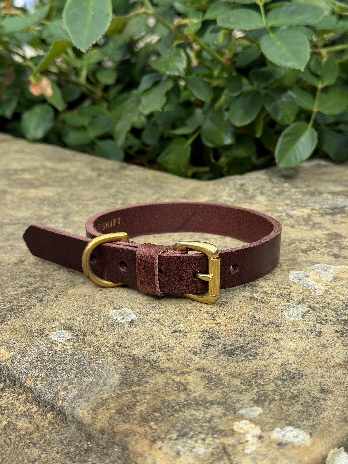 Leather Dog Collar Medium