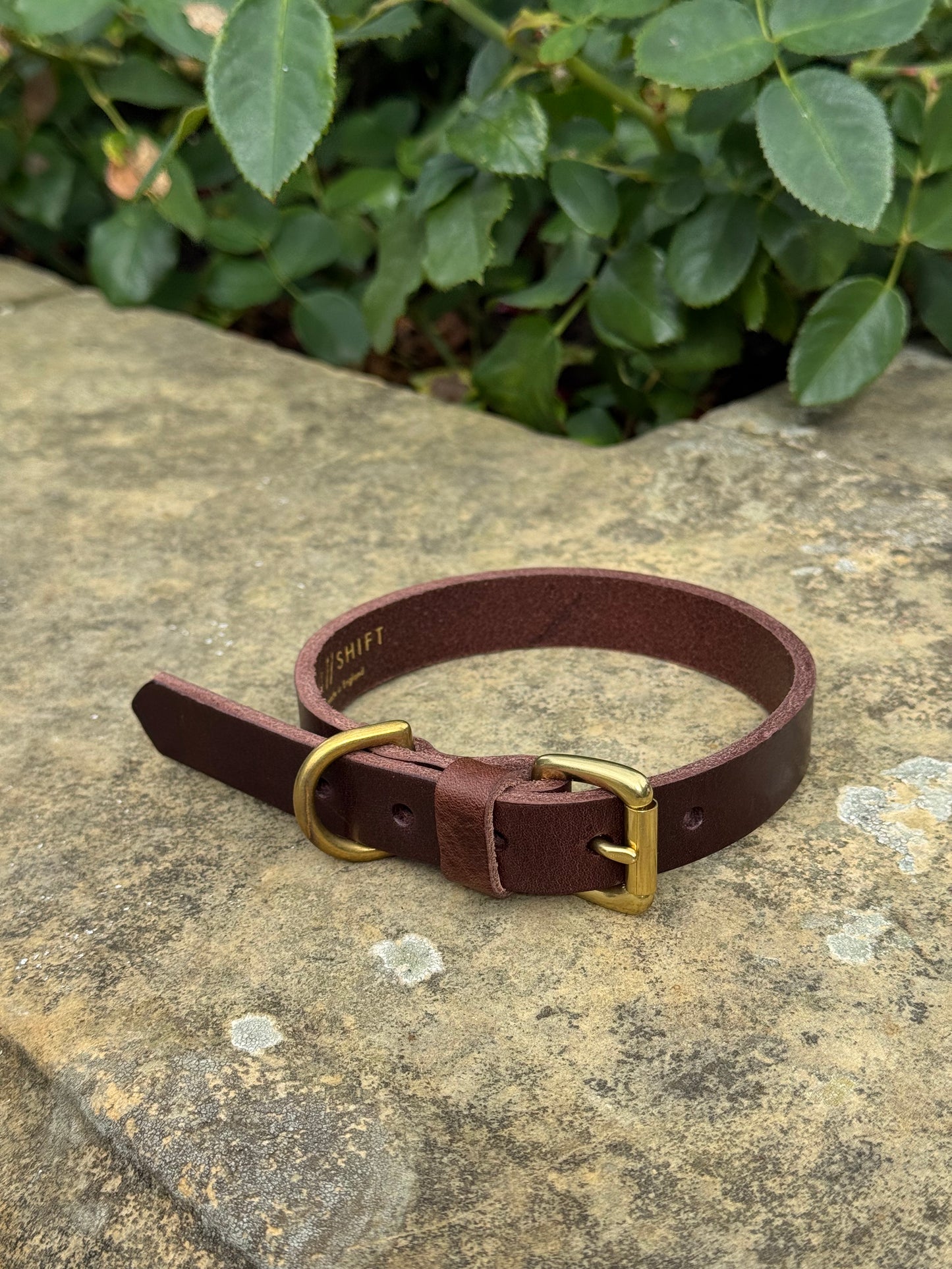 Leather Dog Collar Medium