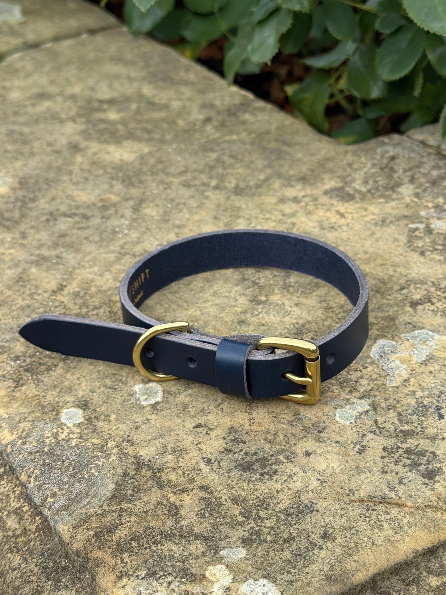 Leather Dog Collar Medium