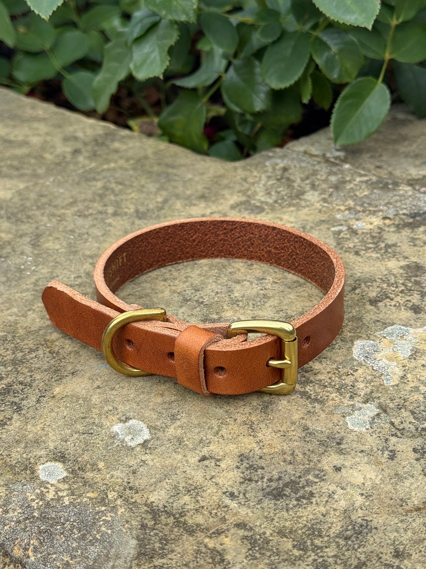Leather Dog Collar Medium