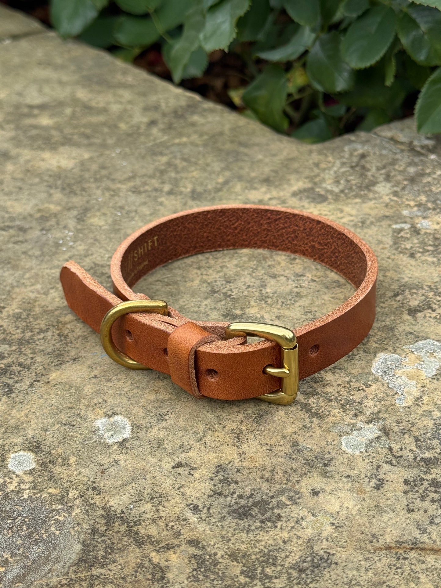 Leather Dog Collar Medium
