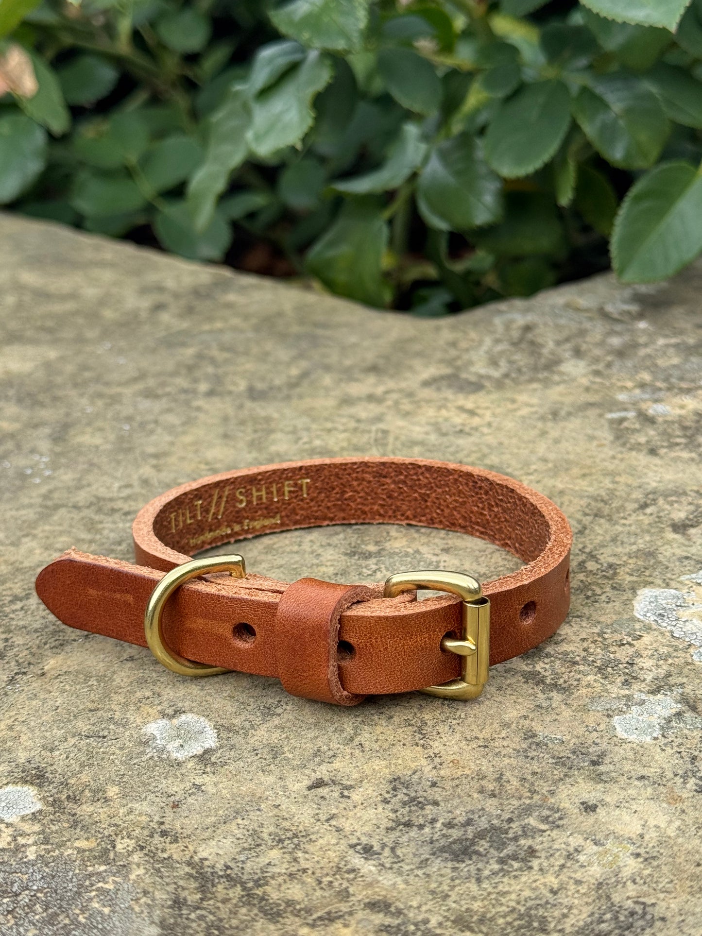 Leather Dog Collar Small