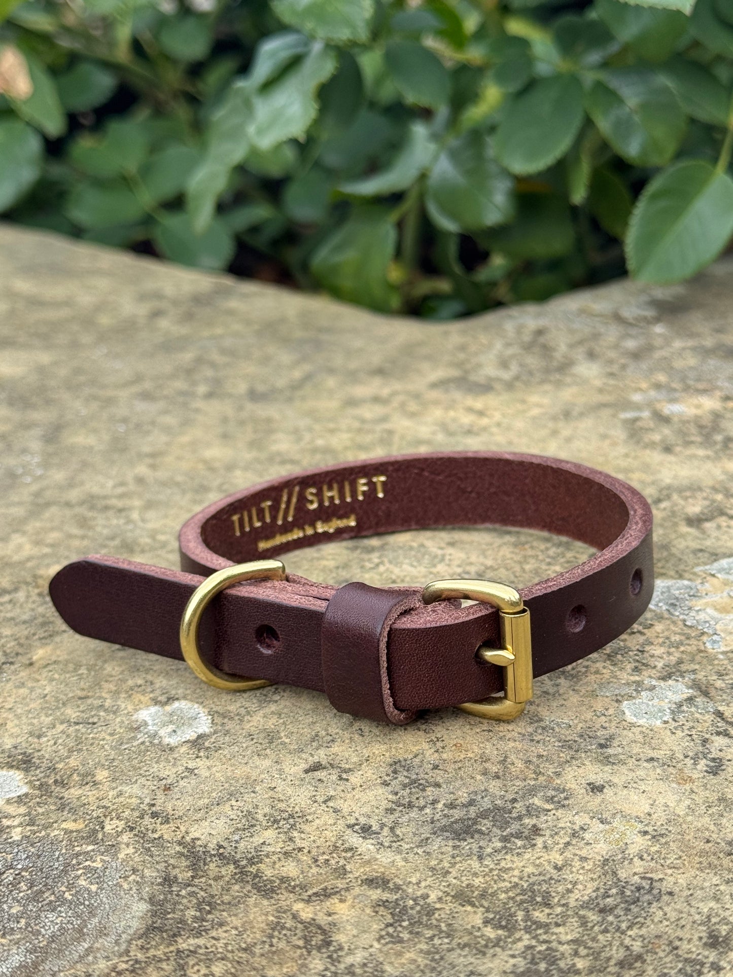 Leather Dog Collar Small