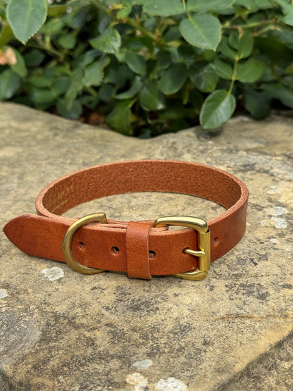 Leather Dog Collar Large