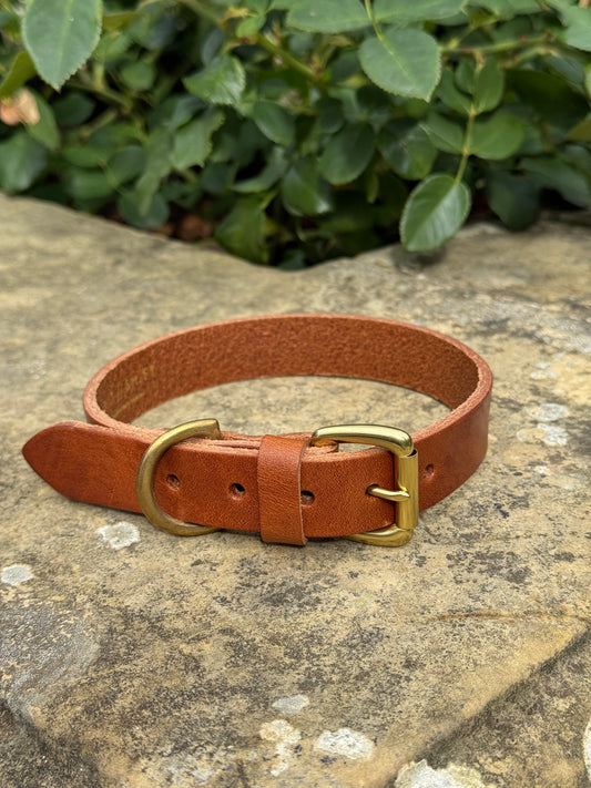 Leather Dog Collar - Large